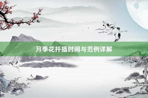 月季花扦插时间与范例详解